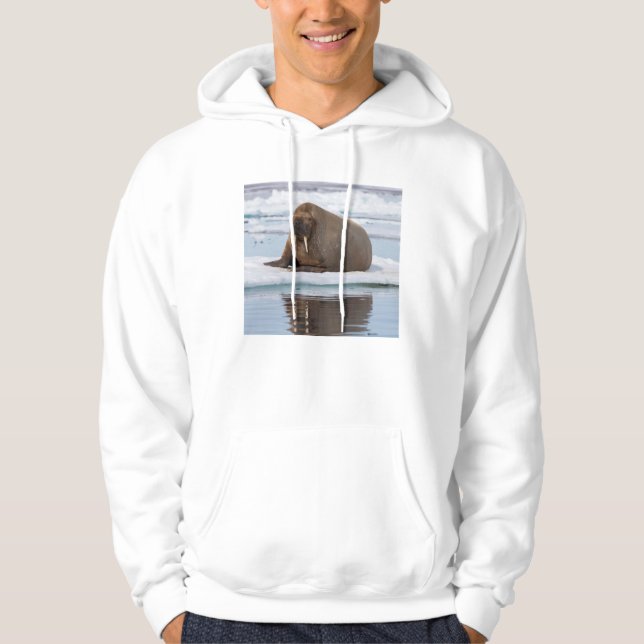 Sudadera Morsa descansando sobre hielo, Noruega (Anverso)