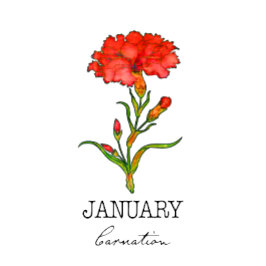 Sudadera Nacimiento Mes Enero Carnación de Flores