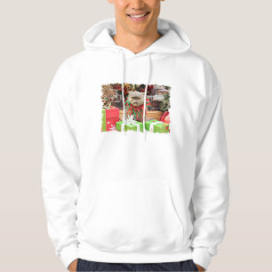 Sudadera Navidad - gato persa - Morrison