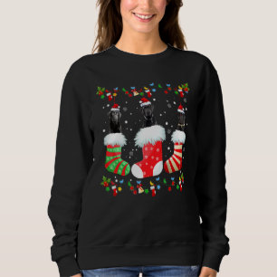 Sudadera Navidades alumbran Santa Black Lab Labrador Do