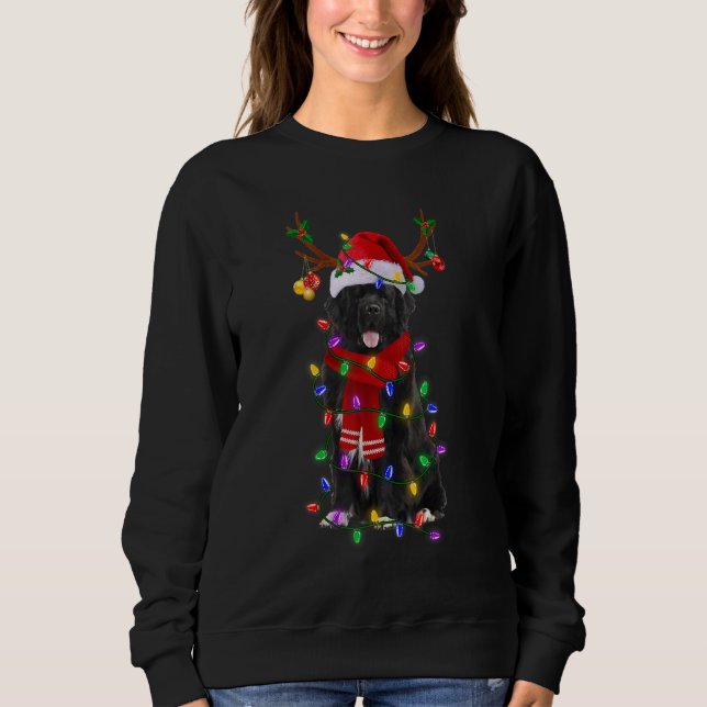 Sudadera Navidades de árboles de perros de Terranova ilumin (Anverso)