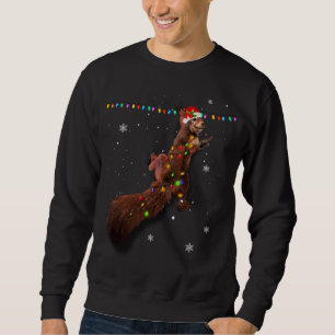Sudadera Navidades de la ardilla de Santa Clara iluminan di