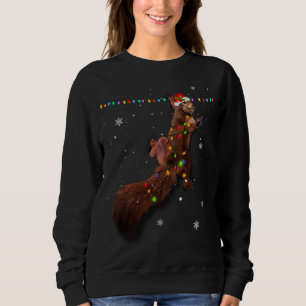 Sudadera Navidades de la ardilla de Santa Clara iluminan di