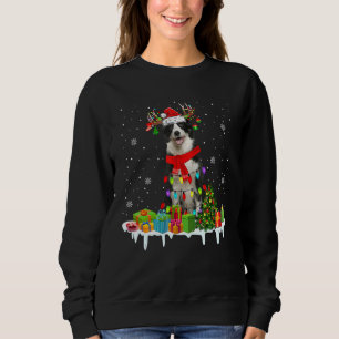 Sudadera Navidades de la frontera navideña iluminan a reno