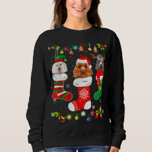 Sudadera Navidades de perro caniche alumbran a amante de pe
