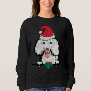 Sudadera Navidades de perro canino