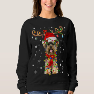 Sudadera Navidades de perro de Yorkshire alumbran renos nav