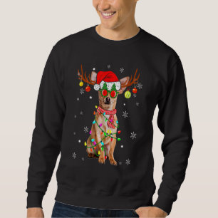 Sudadera Navidades de reno Chihuahua Dog Santa Hat