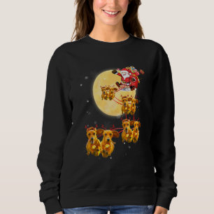 Sudadera Navidades de reno de Dachshund en Santa Sleigh