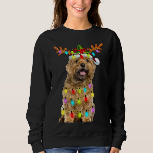 Sudadera Navidades de renos del Cairn Terrier iluminan a pe