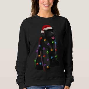 Sudadera Navidades de Terranova iluminan a amante del perro