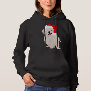 Sudadera Navidades Lab Puppy