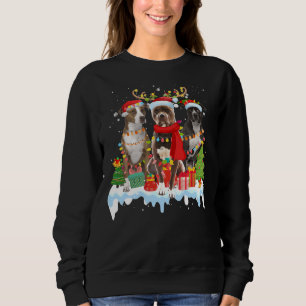 Sudadera Navidades norteamericanos de Pitbull Terrier ilumi