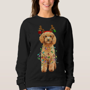 Sudadera Navidades Poodle Funding Xmas Lights
