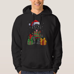 Sudadera Navidades recuperadores de Labrador negro iluminan