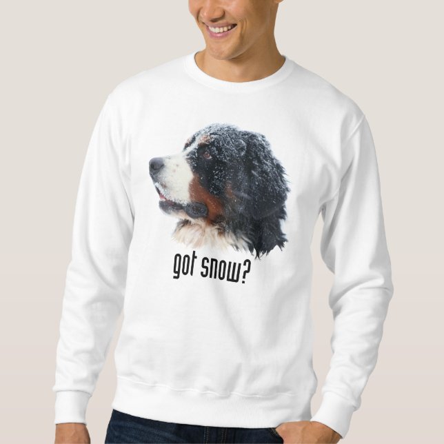 Sudadera ¿nieve conseguida? (Anverso)