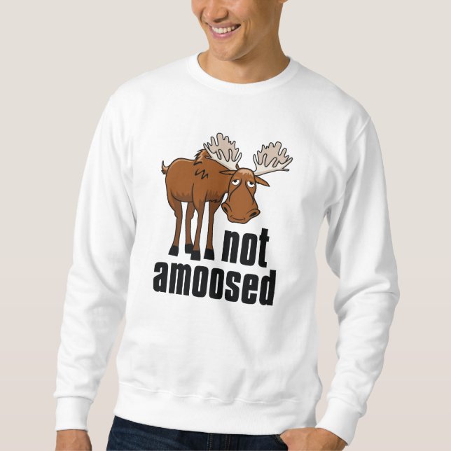 Sudadera No amoroso (Anverso)