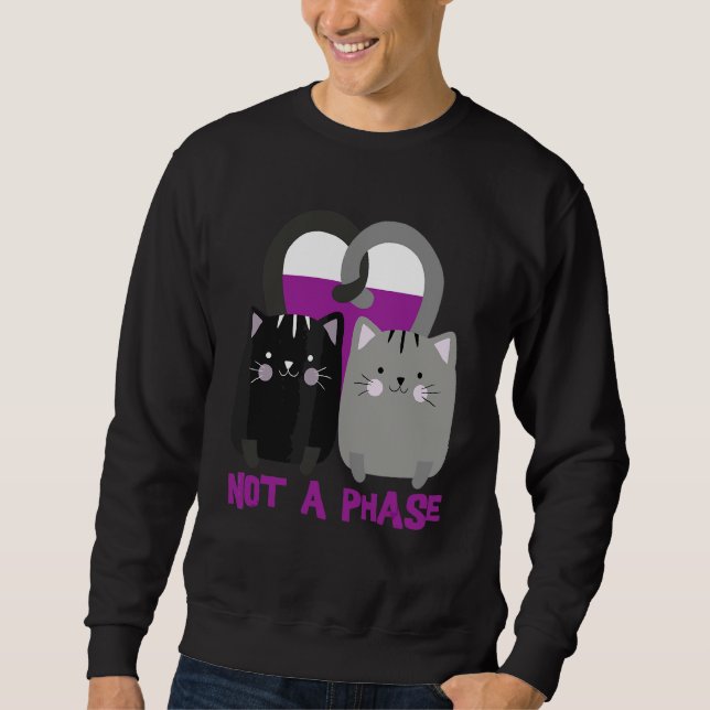 Sudadera No Es Una Fase De Asexualidad De Gatos Ace Pride L (Anverso)