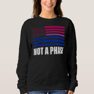 Sudadera No Es Una Fase De La Bandera Bisexual Lgbt Orgullo