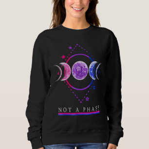 Sudadera No Es Una Fase De La Ropa Bisexual De Bandera Orgu