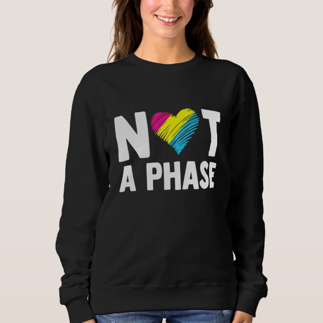Sudadera No Es Una Fase Gay Bisexual Orgullo Arcoíris Lgbtq (Anverso)