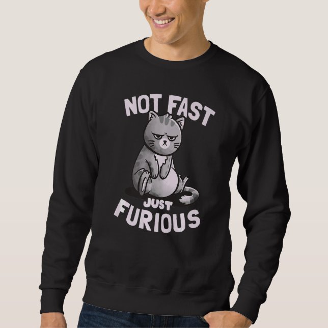 Sudadera No Rápido, sólo un gato gracioso (Anverso)