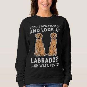 Sudadera No Siempre Paro Y Miro A Los Labradores Oh Espera