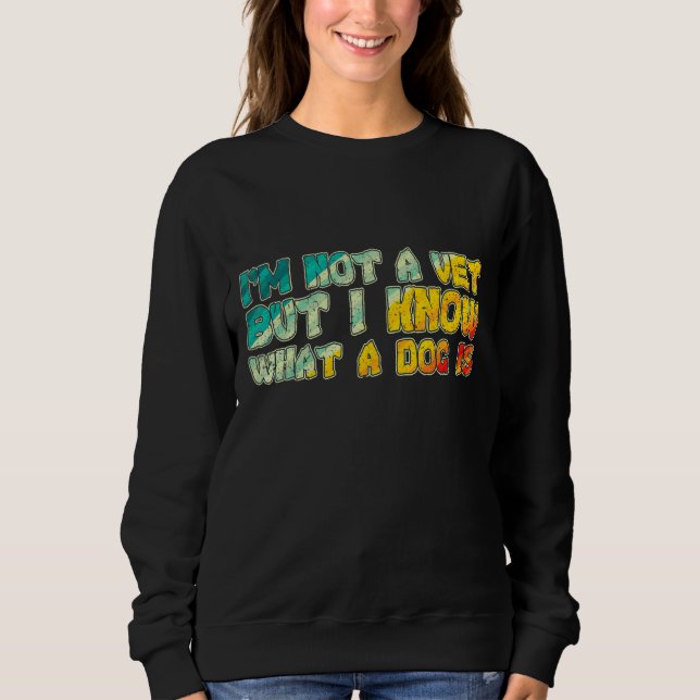 Sudadera No soy un veterinario pero sé qué es el perro 3 (Anverso)