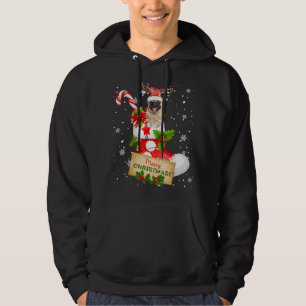 Sudadera Nochebuena navideña ilumina a Santa Reindeer