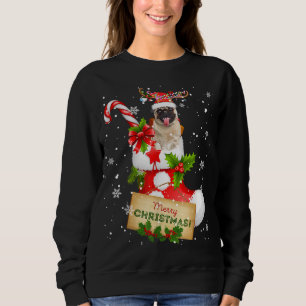 Sudadera Nochebuena navideña ilumina a Santa Reindeer