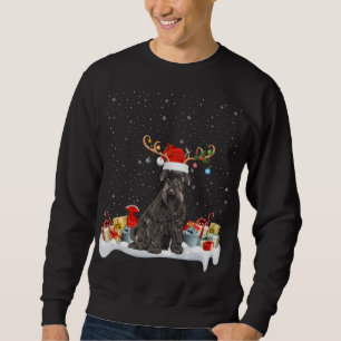 Sudadera Noches divertidas iluminando reno Santa Hat Schnau