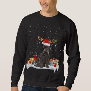 Sudadera Noches divertidas iluminando reno Santa Hat Schnau