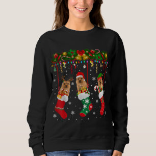 Sudadera Norwich Terrier In Sock Xmas Reindeer Santa ELF Do