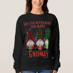 Sudadera Nunca se puede tener que tener a muchos Gnomes Jes