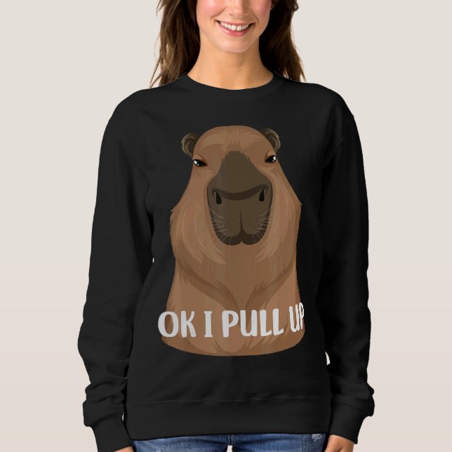 Sudadera Ok, Extiendo El Mascota De Capibara Meme Nutria Br (Anverso)