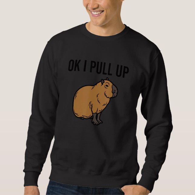 Sudadera Ok, Retiro El Chiste De Memes De Animales Capybara (Anverso)