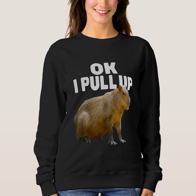 Sudadera Ok, Tira De Capybara Funny Capybara Lover Me Danqu (Anverso)