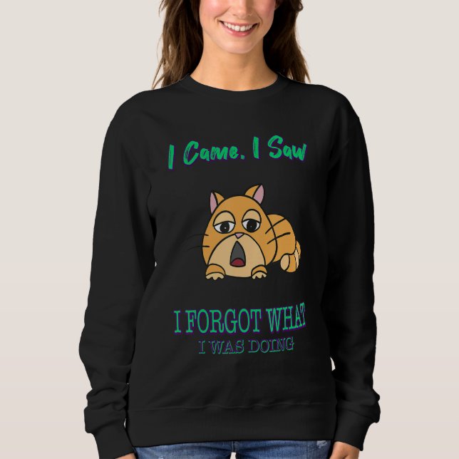 Sudadera Olvidé Lo Que Estaba Haciendo (Anverso)