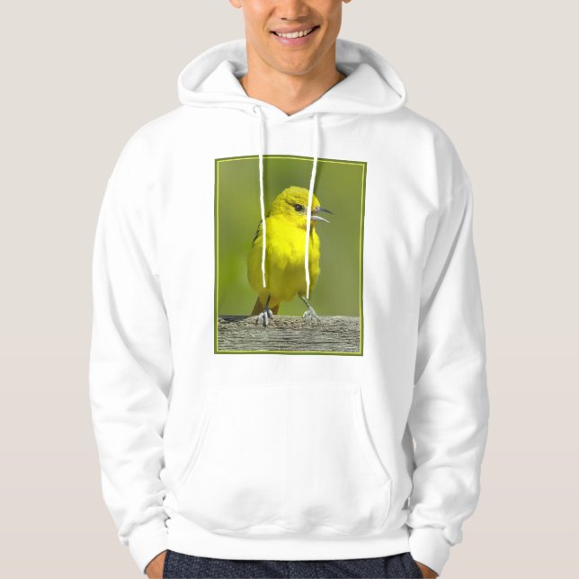 Sudadera Orchard Oriole - Foto original (Anverso)