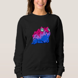 Sudadera Orgullo Aeticón Bisexual Rana Lgbtqia+ Orgullo