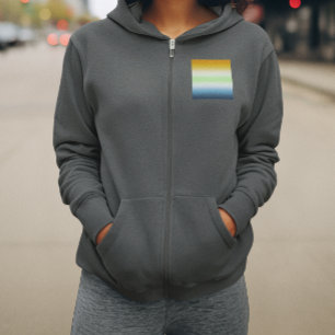 Sudadera Orgullo Agénero AroAce Gradiente