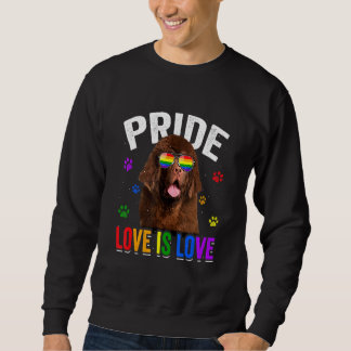 Sudadera Orgullo gay de Terranova Lgbt Bandera Arcoiris Per