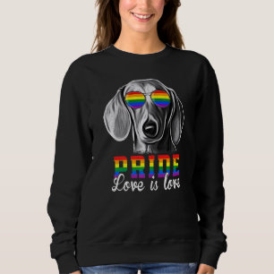 Sudadera Orgullo Lgbt Amor Dachshund Perro