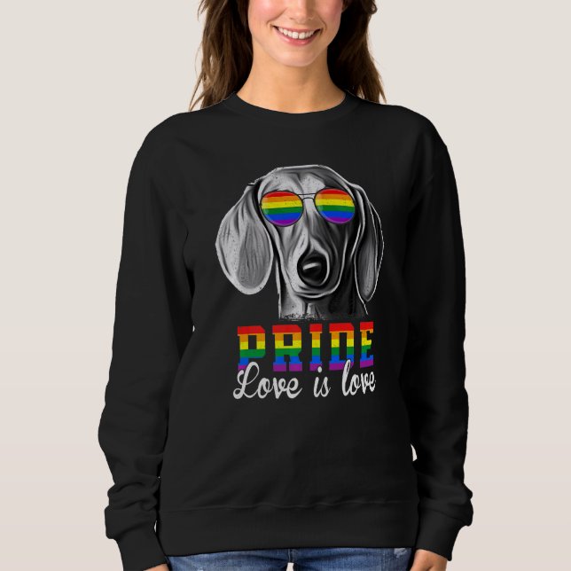 Sudadera Orgullo Lgbt Amor Dachshund Perro (Anverso)