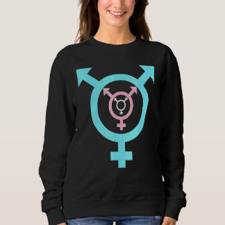 Sudadera Orgullo transgénero LGBT transgénero LGBTQ