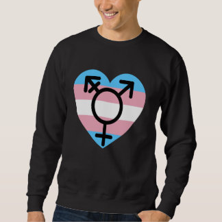 Sudadera Orgullo transgénero LGBTQIA+ Amor y apoyo a los ho