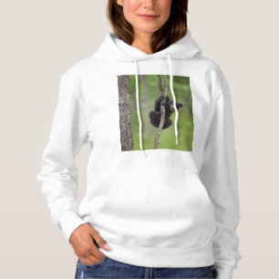 Sudadera Osezno de oso negro jugando, Tennessee