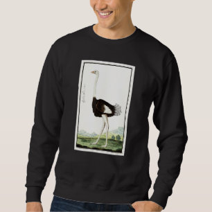Sudadera Ostrich Vintage Bird Ilustracion Animal Ostrich L