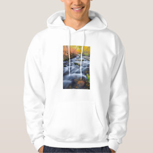 Sudadera Otoño a lo largo de Lundy Creek, California