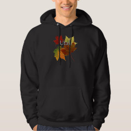SUDADERA OTOÑO EN UTAH